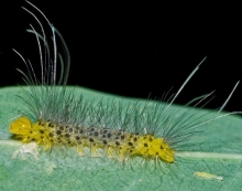 Imagen Parque Ecológico Mundo Amazóni